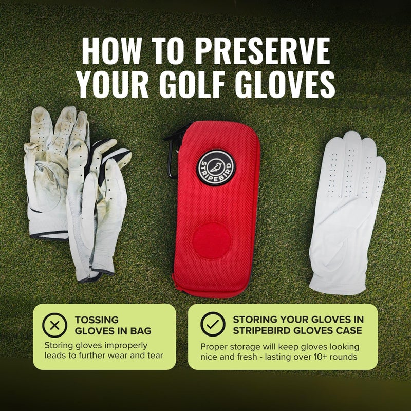 Stripebird - Original Performance Golf Glove Holder Case (Fairway Green) - Protect and Keep Golf Gloves Dry - Moisture Free Storage - Golf Glove Organizer Case - Image 3